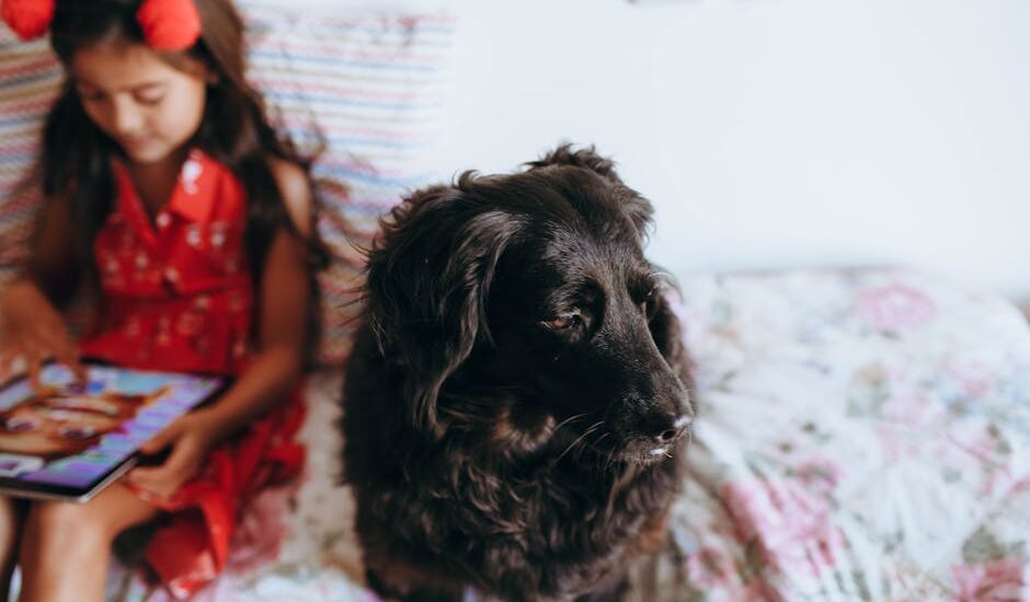 A black dog sits on a bed next to a young girl using a tablet, illustrating the importance of dewormer care in family pets.