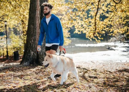 Full body of black man in sporty clothes strolling with Akita Inu dog near trees on grass near lake in sunny autumn day outside