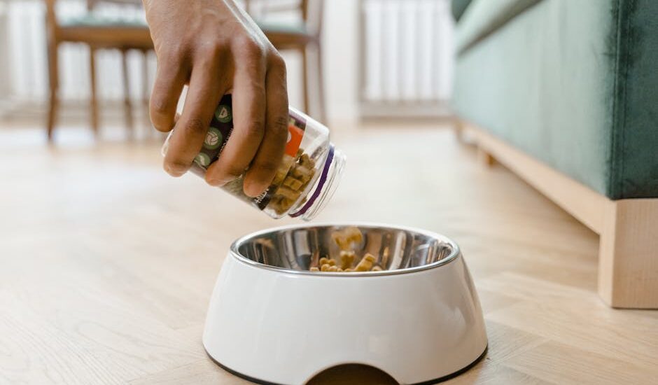 Hand pouring dry dog food into a stainless steel bowl inside a white ceramic holder, illustrating dog bowl material choices.