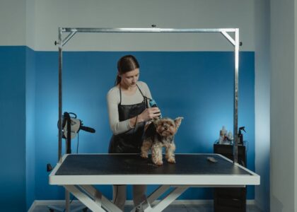 Dog nail grinder review context shown by groomer using an electric nail grinder on a small dog at a grooming table