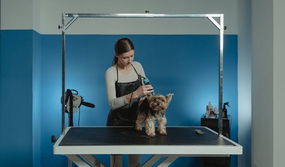 Dog nail grinder review context shown by groomer using an electric nail grinder on a small dog at a grooming table