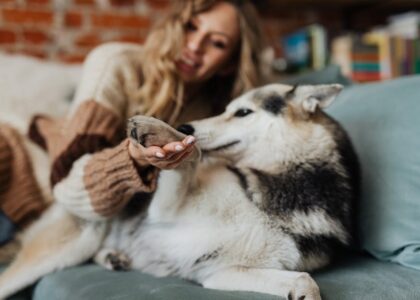 Cozy living room scene with a husky and a woman enjoying a relaxed moment.