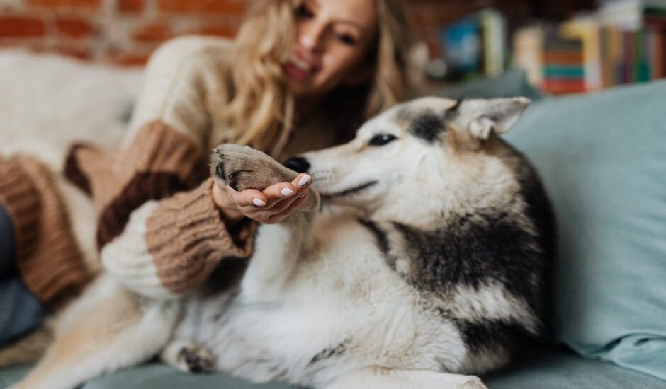 Cozy living room scene with a husky and a woman enjoying a relaxed moment.