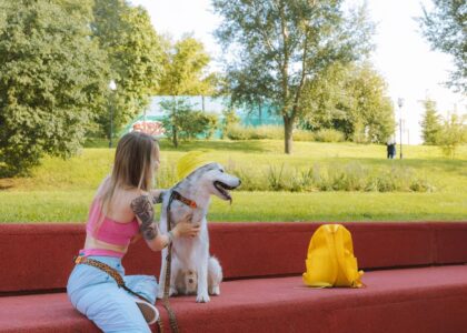 Woman using a hands-free dog leash sits on red steps with her dog, who wears a yellow hat, in a sunny park setting.
