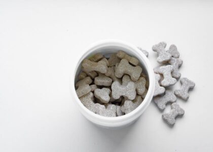 Close-up of bone-shaped dog treats in a white container on a white surface.