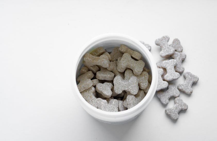 Close-up of bone-shaped dog treats in a white container on a white surface.