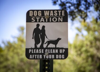 A dog waste station sign in a park reminding pet owners to clean up after their dogs.