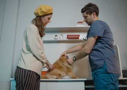 Veterinarian demonstrates how to apply flea treatment on a fluffy dog while the owner assists in a clinical setting.