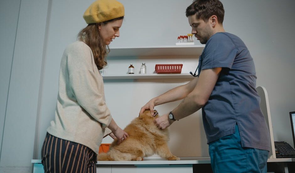 Veterinarian demonstrates how to apply flea treatment on a fluffy dog while the owner assists in a clinical setting.
