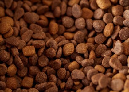 An appetizing close-up of brown dry pet food kibble, perfect for pet nutrition imagery.