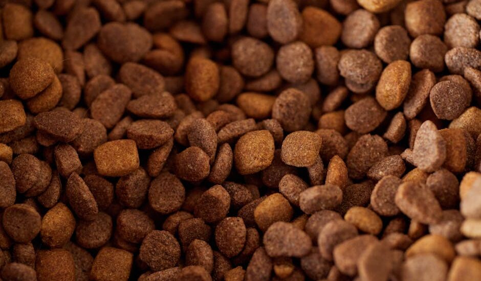 An appetizing close-up of brown dry pet food kibble, perfect for pet nutrition imagery.