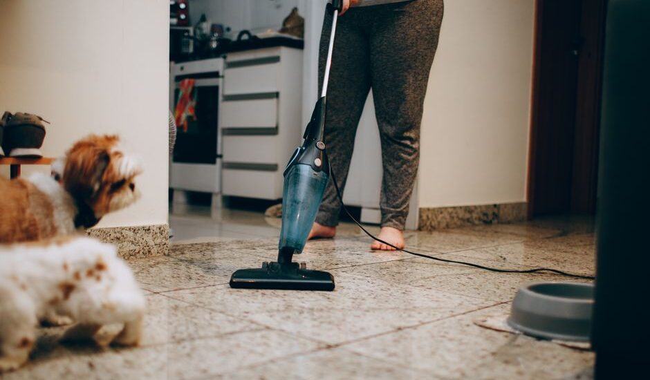 A person vacuums a floor while a small dog watches, highlighting deshedding vacuums.