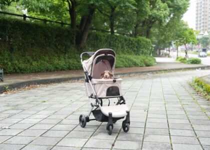 A dog stroller designed for comfort, parked on a paved pathway in a park.