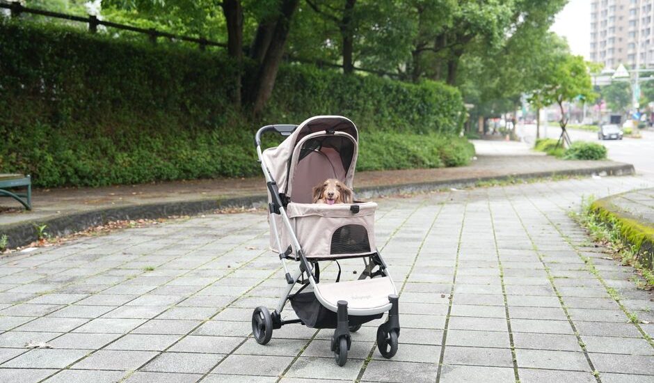 A dog stroller designed for comfort, parked on a paved pathway in a park.