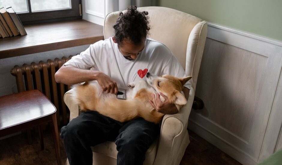 A man gently brushes a dog's teeth while seated in a cozy chair, illustrating the best dog toothbrush set.
