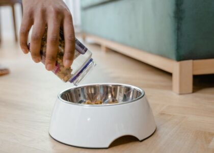 A hand pouring freeze-dried dog food into a metal bowl, illustrating the article's focus on freeze-dried vs. dehydrated dog food.