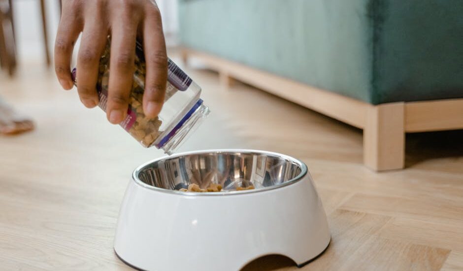A hand pouring freeze-dried dog food into a metal bowl, illustrating the article's focus on freeze-dried vs. dehydrated dog food.