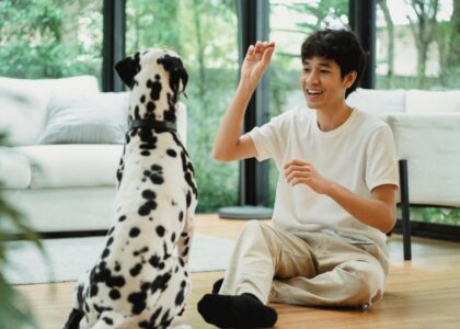 A person interacts with a dog, illustrating how dogs may recognize their names.