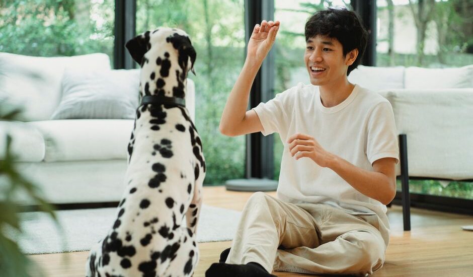 A person interacts with a dog, illustrating how dogs may recognize their names.