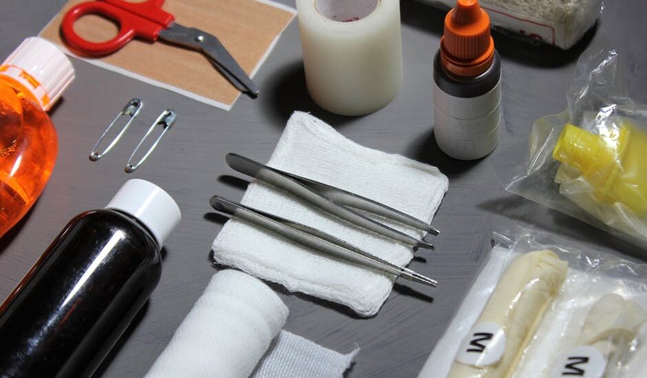 A variety of first aid supplies for dogs, relevant to dog first aid kit reviews.