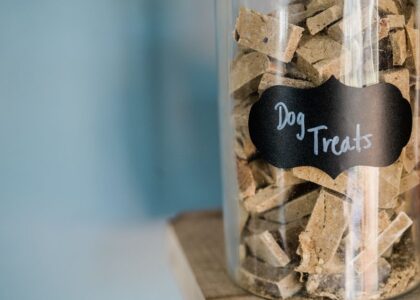 A jar filled with homemade dog treats, illustrating how to make dog treats at home.