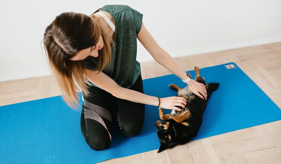 A woman kneels beside a dog on a blue mat, demonstrating how to teach a dog to settle.