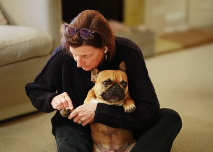 A woman gently files the nails of a French Bulldog, illustrating how to use a dog nail file.