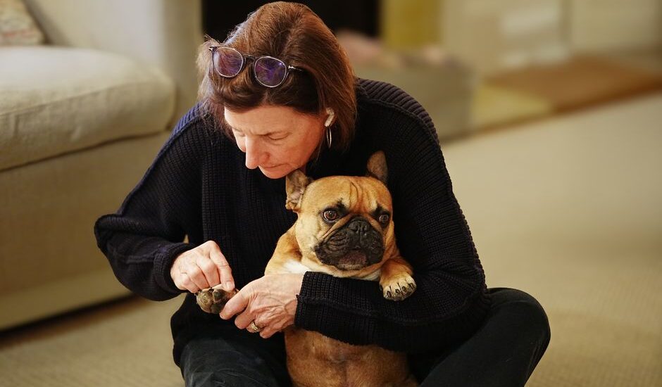 A woman gently files the nails of a French Bulldog, illustrating how to use a dog nail file.