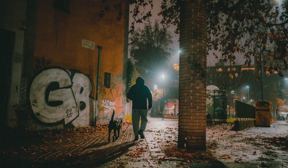 A person walks a dog wearing an LED collar in a dimly lit urban area.