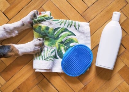 Dog grooming tools including a towel, brush, and shampoo on a wooden floor.