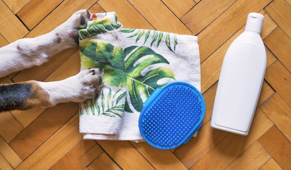 Dog grooming tools including a towel, brush, and shampoo on a wooden floor.