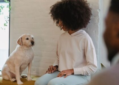 A woman sits with a Labrador retriever, demonstrating how to teach a dog to use a ramp.