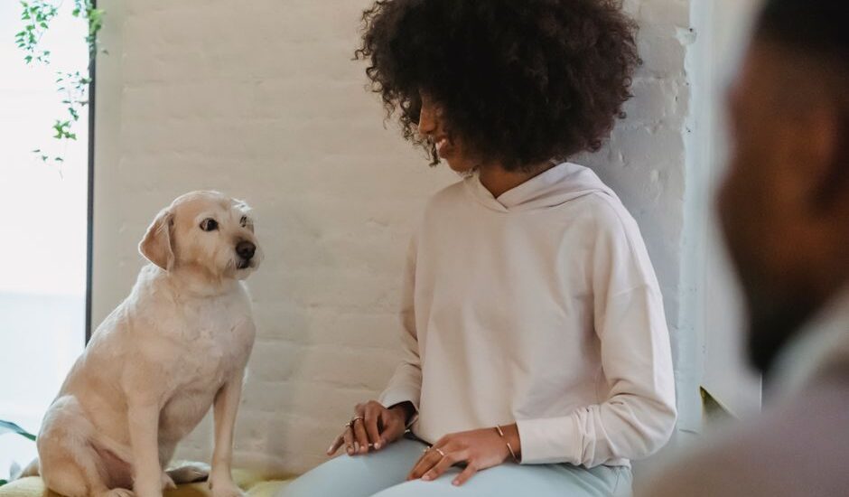 A woman sits with a Labrador retriever, demonstrating how to teach a dog to use a ramp.